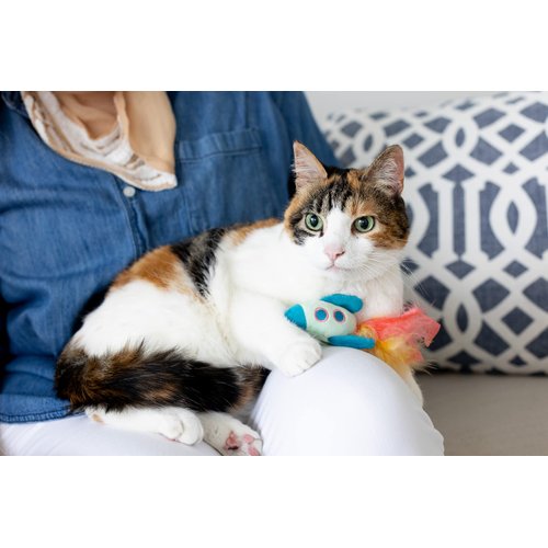 Pearhead Pawstronaut Cat Toy Set, Feather Teaser and Rattle Catnip Toy Set, Cat Owner Playtime Pet Accessory, Pet Toy, Cat Teaser Toys, Cat Owner Pet Toy Sets, Must Have Pet Accessories For Pet Owners