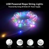 GLPE LED Rope Lights with USB Powered, 2 Pack X 33Ft 100 LED String Lights Indoor Outdoor with Remote,16 Color Changing Fairy Tube Lights for Bedroom Garden Party Wedding Christmas