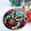 Owl Christmas Ornaments, Owl Ornaments for Christmas Tree, Owl Gifts for Women, Owl Christmas Decorations Acrylic Ornaments 2024 Keepsake