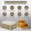 HERBOGANIC Sea Moss Handmade Soap - Natural, Moisturizing Soap Bar for Soft and Smooth Skin with a Spa-Like Experience Pack of 1 (100g)