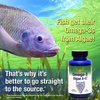 Omega-3 Algae A+E Plant Based DHA & EPA Fatty Acids - Alternative to Fish Oil - Plus Vitamin A and E - Supports Heart, Brain, Joint Health - from Dr. Carolyn Dean