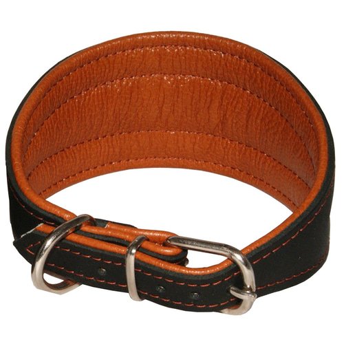 Real Leather Extra Wide Padded Tapered Dog Collar Glossy Black Greyhound Saluki Deerhound Lurcher Whippet Dachshund (11"-13" Neck; 2" Wide, Toffee)