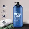 Botanic Hearth Tea Tree Face Wash with Mint - Acne Fighting, Premium, Hydrating Liquid Face Soap with Pure Tea Tree Oil - for Women and Men, Paraben Free, Fights Acne - 16 fl oz