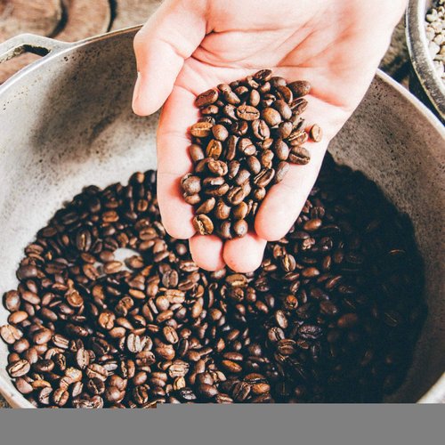 Crazy Fresh Whole Bean Coffee, Light Roast, 2 lbs, Perfecting Coffee Since 1911, , Guatemalan Premium Beans Roasted in Small Batches, Delivered Fresh