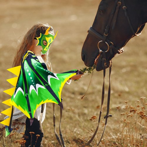 Creatoy Dragon-Wings-Costume Kids with tail and dragon masks Toddler Halloween Dress Up Costume for Boys Girls Dinosaur Dragon Party Decorations Birthday Supplies Dragon Toys Gifts