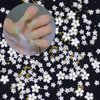 3D White Flower Nail Stickers Charm Decoration Decals 12 Grids Nail Flower Pearl Gold Caviar Beads Glitter Design Acrylic Nails Supplies Stickers for Women Floral Manicure Tips DIY Accessories Craft