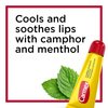 Carmex Lip Balm For Dry Chapped Lips, Moisturizing, Original Formula, 0.35 oz, 12 Count