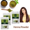 Henna Powder for hair 227g (8) - Henna Powder for Black Hair Pure and Natural Hair Colour | Heena Mehendi Powder | Natural Hair Color Mehendi Powder For Hair