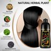 Instant Black Hair Shampoo 500ml for Men & Women, 3 in 1 Black Hair Dye Shampoo, Natural Black Hair Color- 100% Gray Hair Coverage in Minutes, Black Hair Color for Home Salon Use 17.6 Fl Oz (Black)