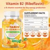 BVIVLOO 2 Pack Vitamin B2 Gummies - Riboflavin 400mg for Kids & Adults, Migraine Relief & Headache Relief, Vegan, Sugar-Free, Orange Flavor, 120 Gummies