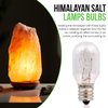 BULBMASTER 15 Watt Himalayan Salt Lamps Bulbs and Night lights Replacement Light bulbs lamps 2.15" - fits E12 Socket Candelabra Base night light night lamp bulbs