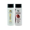 Infinito Colors Pomegranate Medium Strength Keratin Treatment with Clarifying Shampoo 4oz by Smart Protection