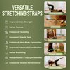 Pilates in a Box: Stretch Straps with Loops with Door Anchor for Yoga, Pilates Straps – Stretching Strap with Loops, Yoga Straps for Stretching with Loops, Stretch Out Straps for Physical Therapy