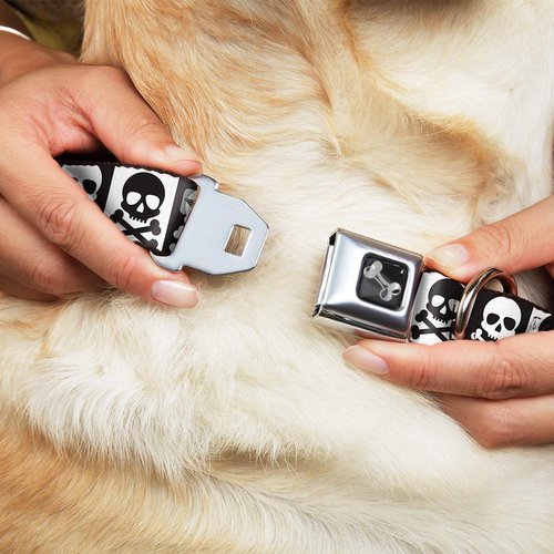 Dog Collar Seatbelt Buckle Skull Cross Bones Blocks Black White White Black 11 to 17 Inches 1.0 Inch Wide