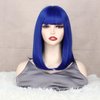 OTO BELLA 14 Inch Short Bob Wigs with Bangs, Straight Bob Wigs for Women Natural Looking, Synthetic Short Bob Wigs Heat Resistant Fiber Wigs for Daily Party Cosplay (Blue)