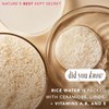 The Face Shop Rice Water Bright Vegan Eye Cream - Eye Cream for Dark Circles - Dark Circles Under Eye Treatment - Under Eye Brightener - Hydrating - Niacinamide - Hyaluronic Acid - Korean Skin Care