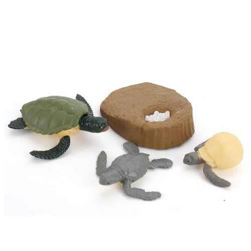 4 PCS Sea Turtle Ocean Marine Animal Growth Life Cycle Model Figure Classroom Accessories Party Supplies Cake Toppers Learning Cognitive Toys for Boys Girls Kid Toddlers