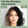 TYAYW Black Hair Dye Shampoo 3 in 1 for Gray Hair, Long-lasting & Natual Black Hair Shampoo, Hair Color shampoo for Men Women, Shampoo Para Canas, Hair Dye Easy to Use at Home 16.9 Fl Oz (Black)