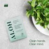 ALŌH Skin - Softening Sanitizing Hand Wipes - Peppermint Eucalyptus + Aloe (1 Box of 20 Individual Wrapped Wipes)