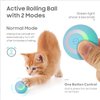 Interactive Cat Toy Ball，USB Rechargeable Automatic Cat Toy，Cat Balls Automatic Moving Rolling Cat Toys for Indoor Cat Kitten，Smart Ball Cat Toy Gift for Your Kitty (Blue)