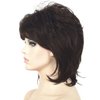 Lydell Short Length Layered Shaggy Full Synthetic Wigs (2SP33 Brown)