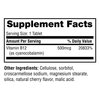 Twinlab B-12 Dots - Energy Production Support Supplements with Vitamin B12-500 mcg, 250 Tablets