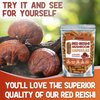 XPRS Nutra Reishi Mushroom Capsules - 180 Count Red Reishi Mushroom Capsules - 3 Month Supply Real Mushrooms Supplement Pills for Cognitive and Immune Boost - Superfood Hongo Organico