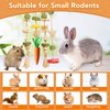 Jorewood Rabbit Chew Toys Bunny Cage Hanging Toy and Treats Rattan Ring with Snacks for Rodent Pets Teeth Healthy