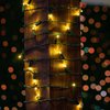 Novelty Lights 25FT 50 LED Christmas String Lights, Tree Lights Indoor Outdoor Commercial Grade LED Mini Light Set With 40,000 Hours Rating, Christmas Lights Christmas Tree Lights (Warm White)