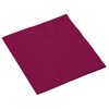 Berry 2-Ply Dinner Napkins | Pack of 20 | Party Supply