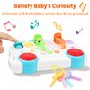 Interactive Pop Up Animal Toys with Music & Light, Toddlers Montessori Early Learning Activity 6-9-12-18 Months Baby Sensory Toy for 1 Year Old Boy Girl Age 2-4 Cause and Effect Toys (Blue)