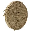 Bonka Bird Toys 3851 Seagrass Braided Rope 20' Long by 0.60" Wide, Parrot Chew Craft Cage Toy, Conure, African Grey, Amazon, and Similar
