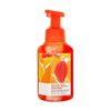 Bath & Body Works Mango Papaya Paradise Gentle Foaming Hand Soap 8.75 Ounce 2-Pack (Mango Papaya Paradise)
