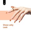 beetles Jelly Gel Nail Polish 6 Colors Transparent Gel Polish Set Brown Red Blue Green Orange Fall Nail Polish Soak Off LED UV Curing Manicure Kit Gift for Women