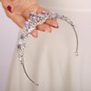 JWICOS Wedding Tiara for Women and Brides Princess Crowns and Tiaras for Bride Rhinestone Birthday Crown Headband Crystal Costume Party Prom Tiara Hair Accessories (Purple)