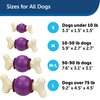 PetSafe Busy Buddy Bouncy Bone Dog Toy - Treat-Holding Toys for Dogs- Scented for Enhanced Sensory Stimulation- Rigorously Tested Ingredients- for Aggressive Chewers- Treat Refills Available - M/L