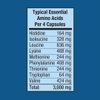 Piping Rock Amino Acid Supplement | 180 Capsules | BCAA and EAA AminoFit Complex | Non-GMO, Gluten Free | by Fitness Labs