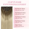 GOO GOO Clip in Hair Extensions Real Human Hair, 18inch 120g 7Pcs, 9/60 Balayage Ash Brown to Platinum Blonde, Remy Human Hair Extensions Clip ins for Women, Natural Human Hair