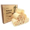 6Pack Luffa Sponges Gentle Exfoliating Body Scrubber for Shower Natural Loofah Sponge Unveil Your Skin's Natural Beauty…