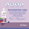 MaryRuth Organics Megadose Vitamin D3 Liposomal | Vitamin D 4000 IU | Ultra Absorption | Immune Support for Adults | Bone Health | VIT D3 | Vegan | Sugar Free | Gluten Free | Non-GMO | 45 Servings