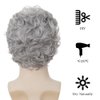 Dai Cloud Grey Short Curly Wigs for Men Natural Fluffy Synthetic Layered Daily Hair for Male Wig Cap