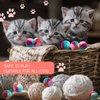 TIESOME Rainbow Cat Toy Balls, 20PCS Soft Cat Ball Colorful Cat Pom Pom Balls Kitten Puff Balls Indoor Cats Interactive Play Ball Pet Training Ball for Cat Kittens Playing Exercising 1.2 inch