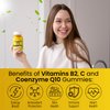 Doc Mila Vitamin B2 100mg Gummies for Adults and Kids - Riboflavin 100 mg Gummy - Migraine Relief Supplement - VIT B2 Supplements