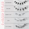 Sicurl The Day&Night Lashes Pack, 5 different mixed eyelash styles, Individual Lashes, Easy to Apply, No Lash Glue Included, 5 Sets of Eyelashes