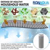 Reusable Whole House Spin Down Sediment Water Filter. Prefilter Removes Sediment, Rust, Sand from Water, 40 Micron, ¾ or 1 Inch Inlet/Outlet, by Ronaqua WELL-MATCHED with WSP-50, HQ-180ZA-50