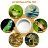 Reptile Food Dish Bowl, Worm Water Dish Small (2.75in) Lizard Gecko Ceramic Pet Bowl, Mealworms Bowls for Leopard Bearded Dragon Chameleon Hermit Crab Dubia Cricket Anti-Escape Superworm Feeder 2 Pack