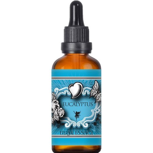 Eucalyptus Premium Grade Fragrance Oil - Scented Oil - 30ml