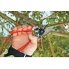 Felco Pruning Shears (F 6) - High Performance Swiss Made One-Hand Garden Pruners - 100052385