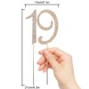 Hatcher lee Bling Crystal 19 Birthday Cake Topper - Best Keepsake | 19th Party Decorations Gold