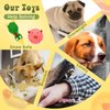 Jenaai 11 Pcs Dog Squeaky Toys Squeaky Latex Dog Toys Soft Chew Rubber Dog Toy Rubber Chew Toys for Dogs Assorted Animal Pet Toys Puppy Fetch Pet Interactive Play for Small and Medium Pets